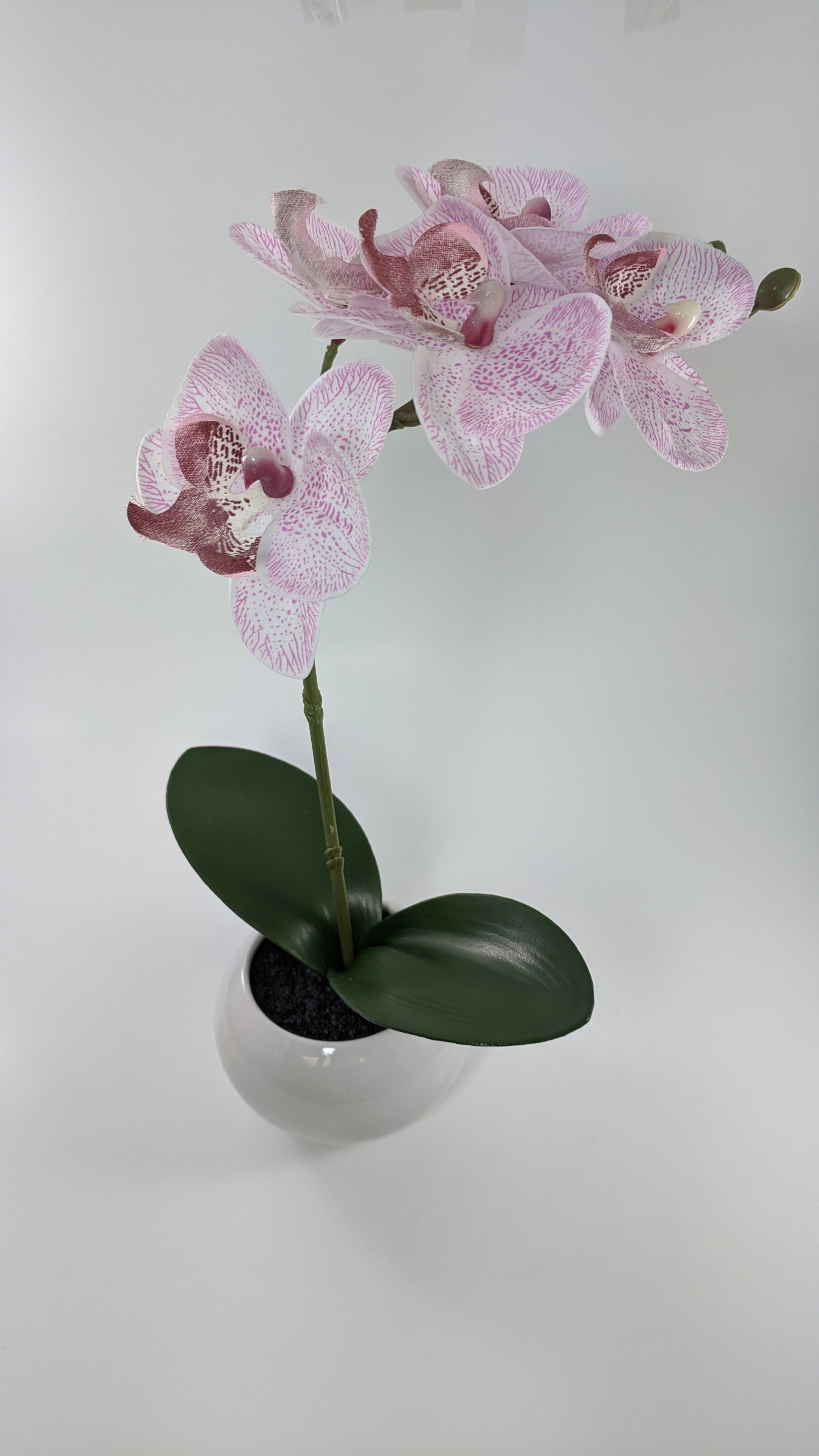 Artificial Orchid