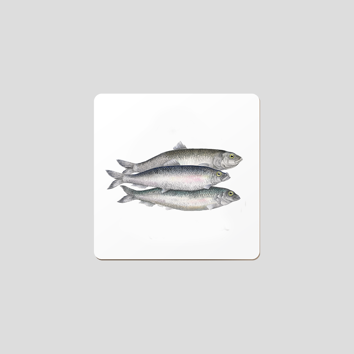 Bill, Bull & Bob - Coaster