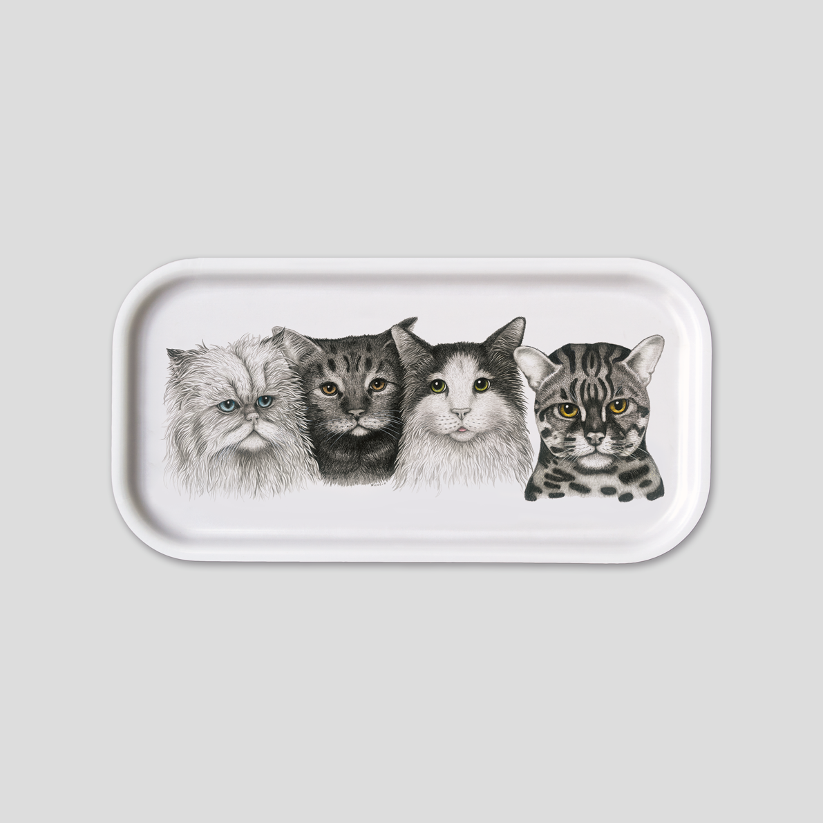 Cats - Long Tray