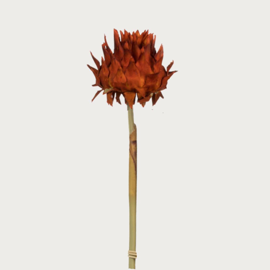 15" Dried Artichoke on Reed Stem