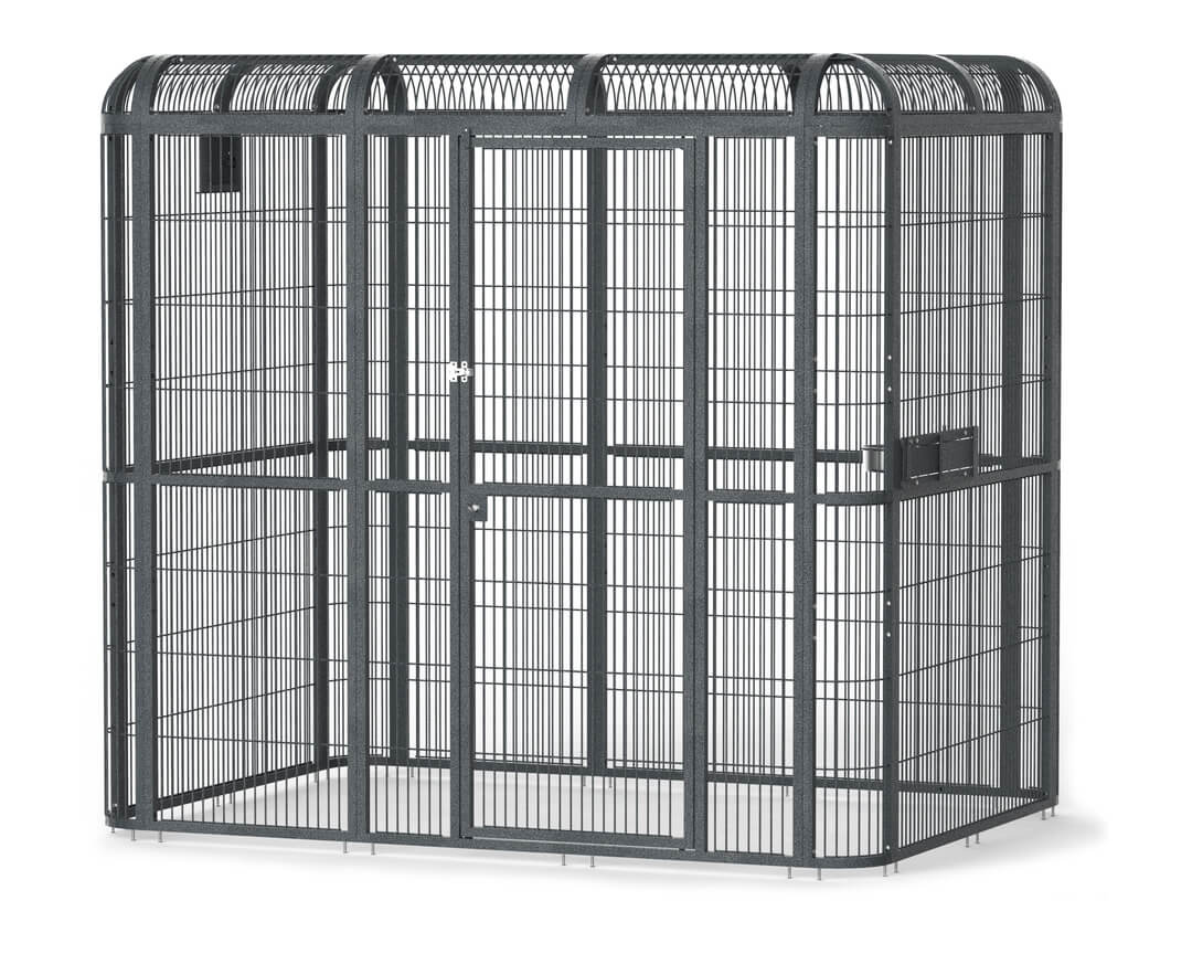 A&E 62"x62" Black Walk-in Aviary