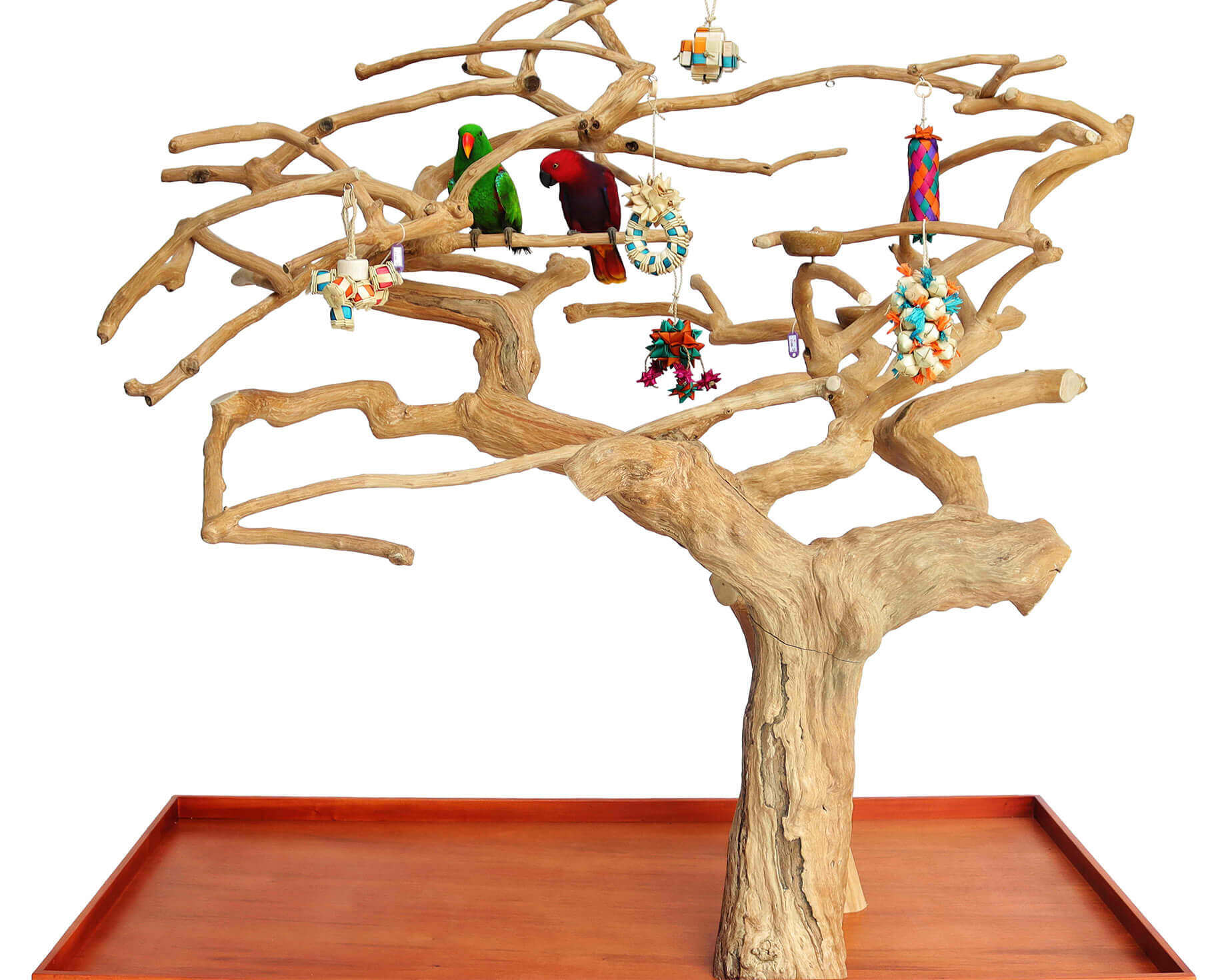 A&E Large Double Java Tree