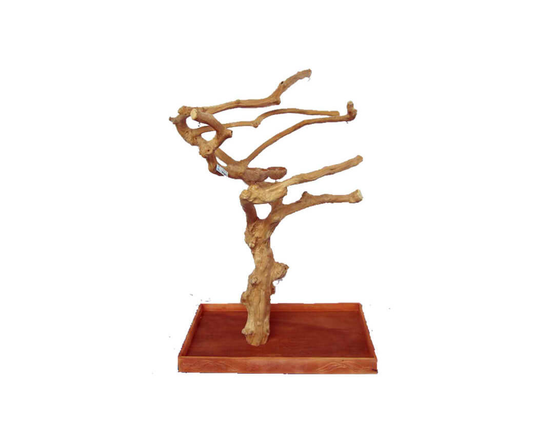 A&E Large Java Wood Tree Box