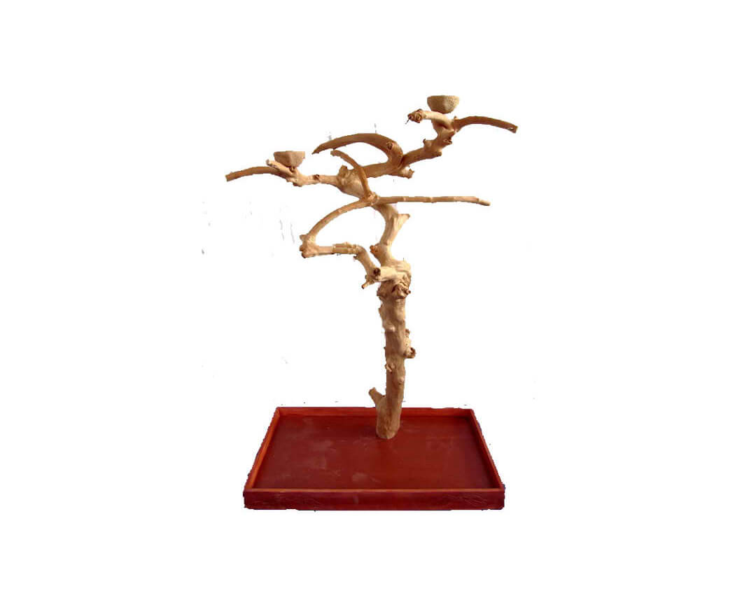 A&E Medium Java Wood Tree Box