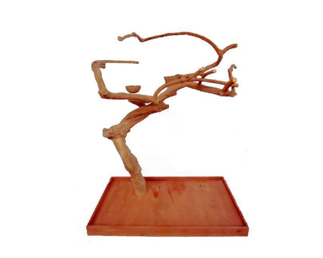 A&E Medium Single Java Tree