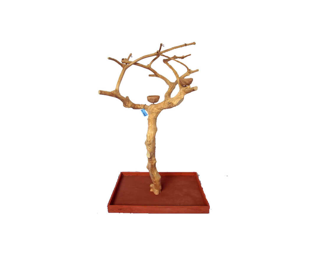 A&E Small Java Wood Tree Box