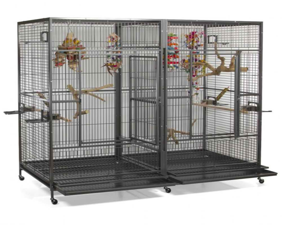 A&E 80"x40" Double Macaw Cage with Divider