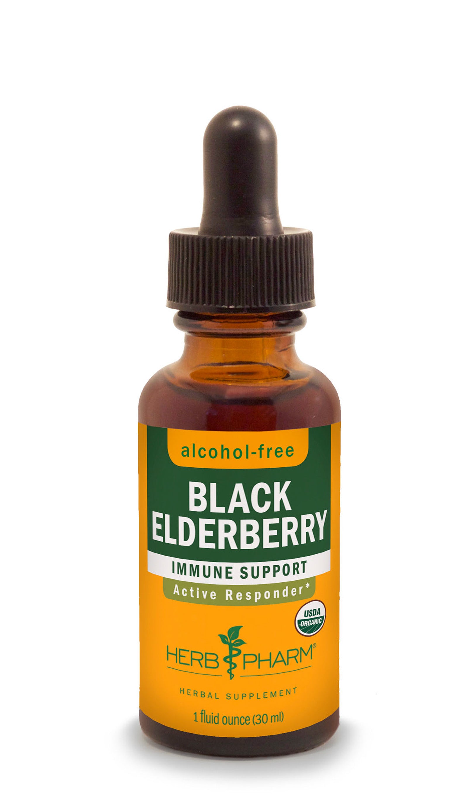 Black Elderberry Tincture | Alcohol Free - 1 Fl oz.