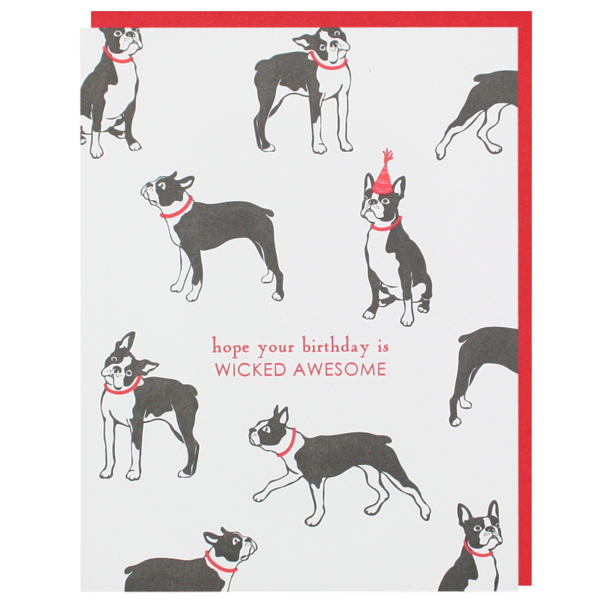 Boston Terrier Birthday Card