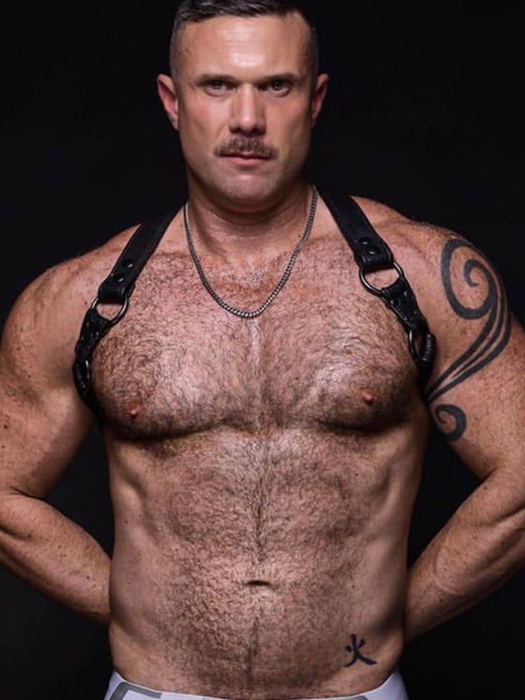 Adult Sexy Genuine Leather Bulldog Harness