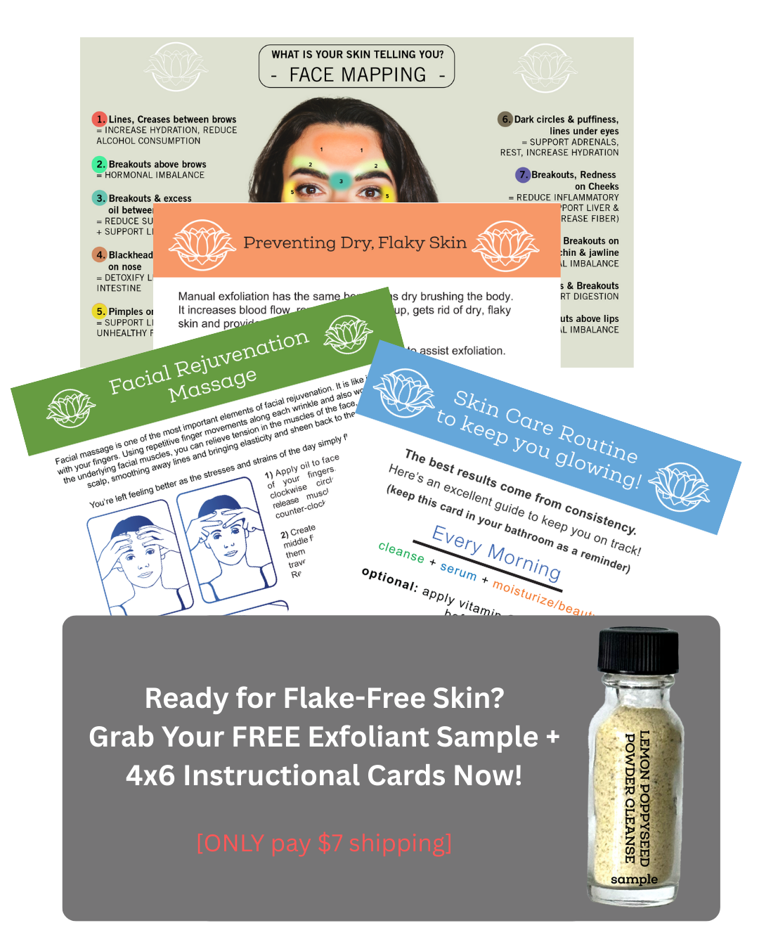 Sample Lemon Poppyseed Powder Cleanse + Cards