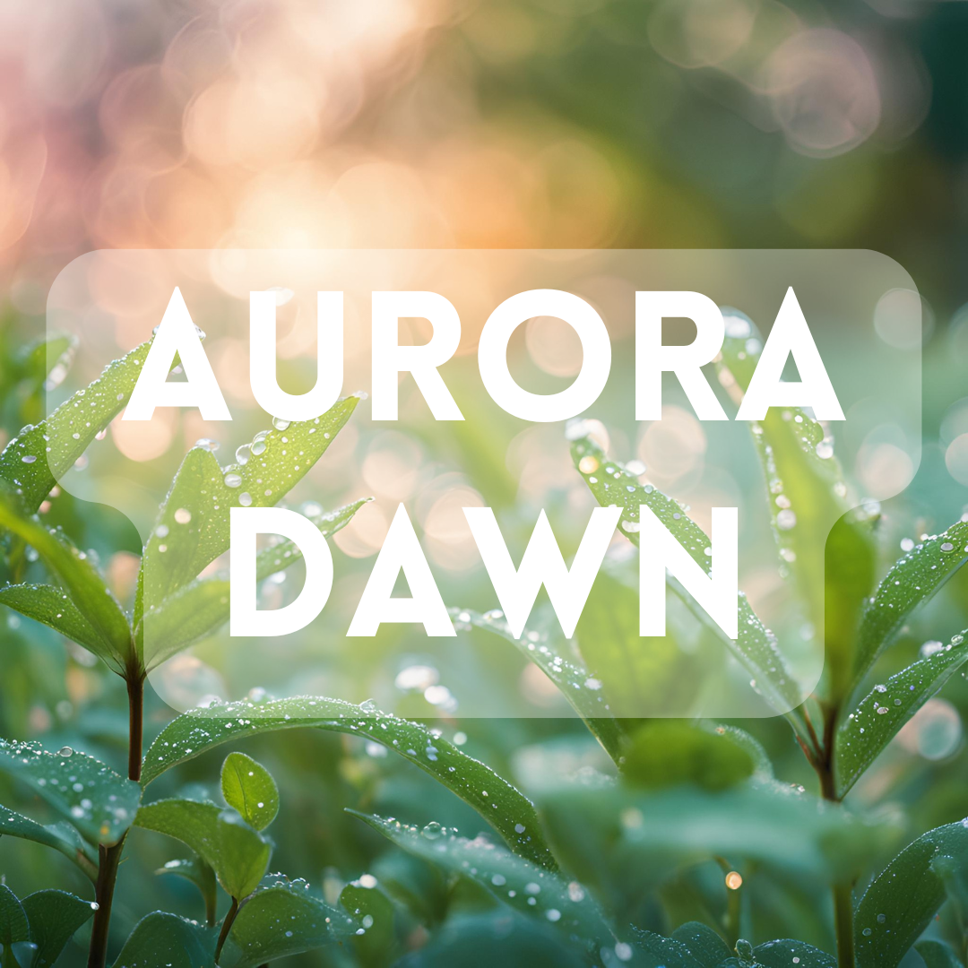 Aurora Dawn - Premium Fragrance Oil