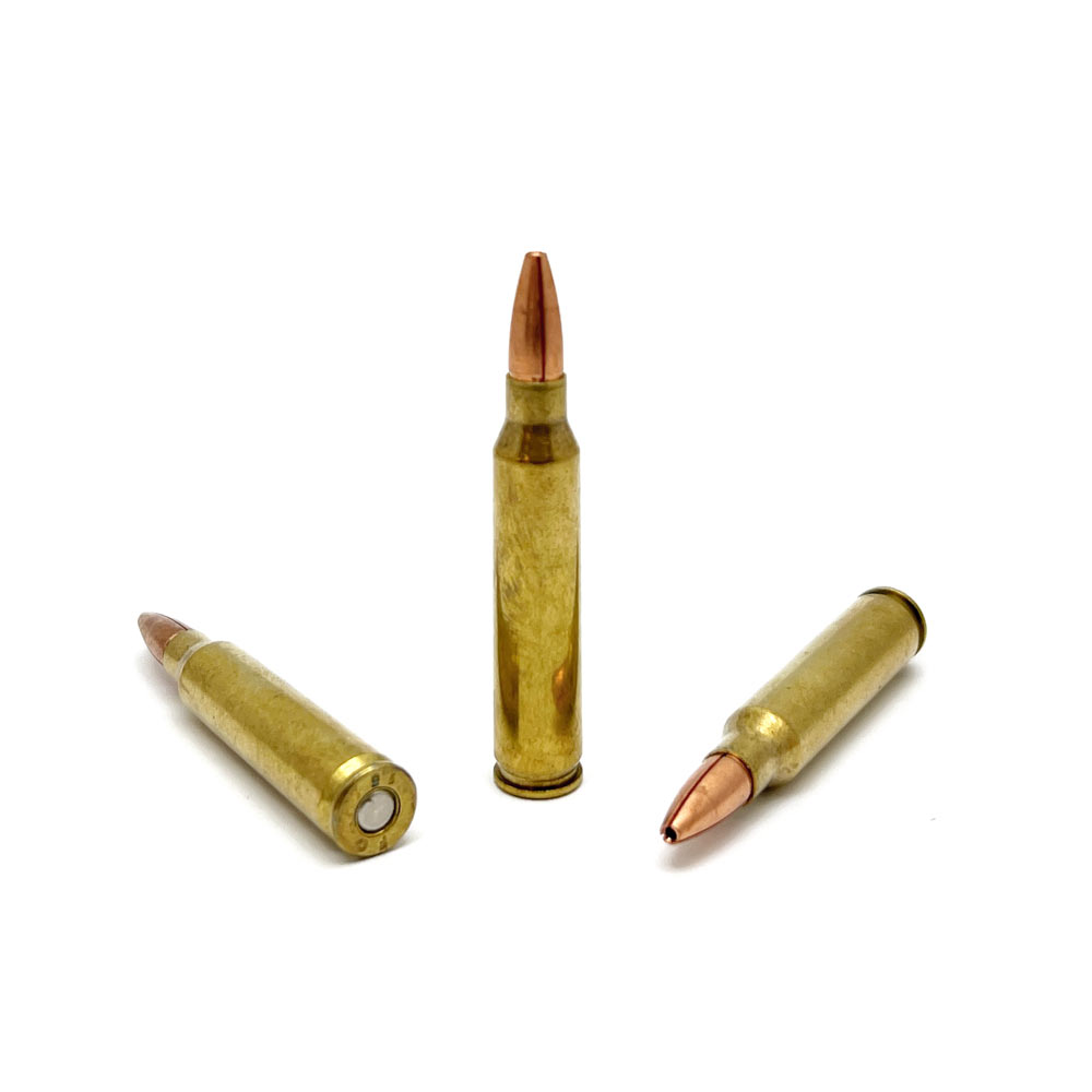 .223 Rem 70gr REX Expanding Ammunition