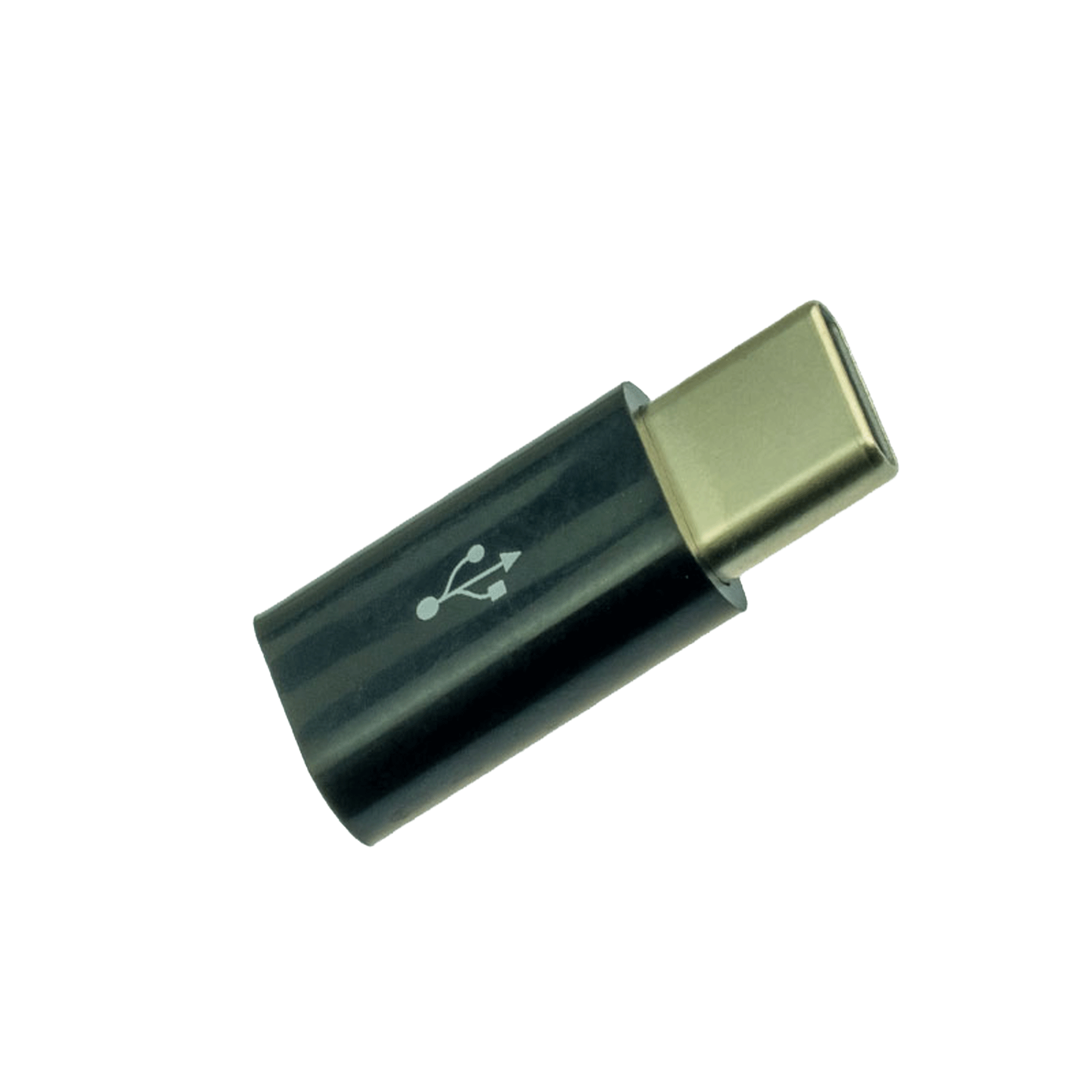 PA025 Micro USB to Type C Adapter