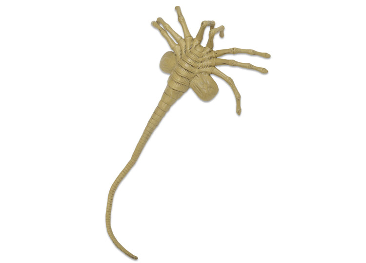 Alien – Facehugger Life-Size Foam Prop Replica