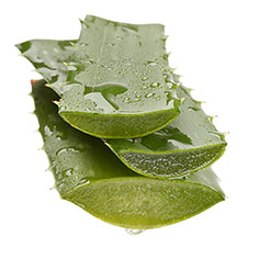 Aloe Vera Powder, 200:1 (Organic)