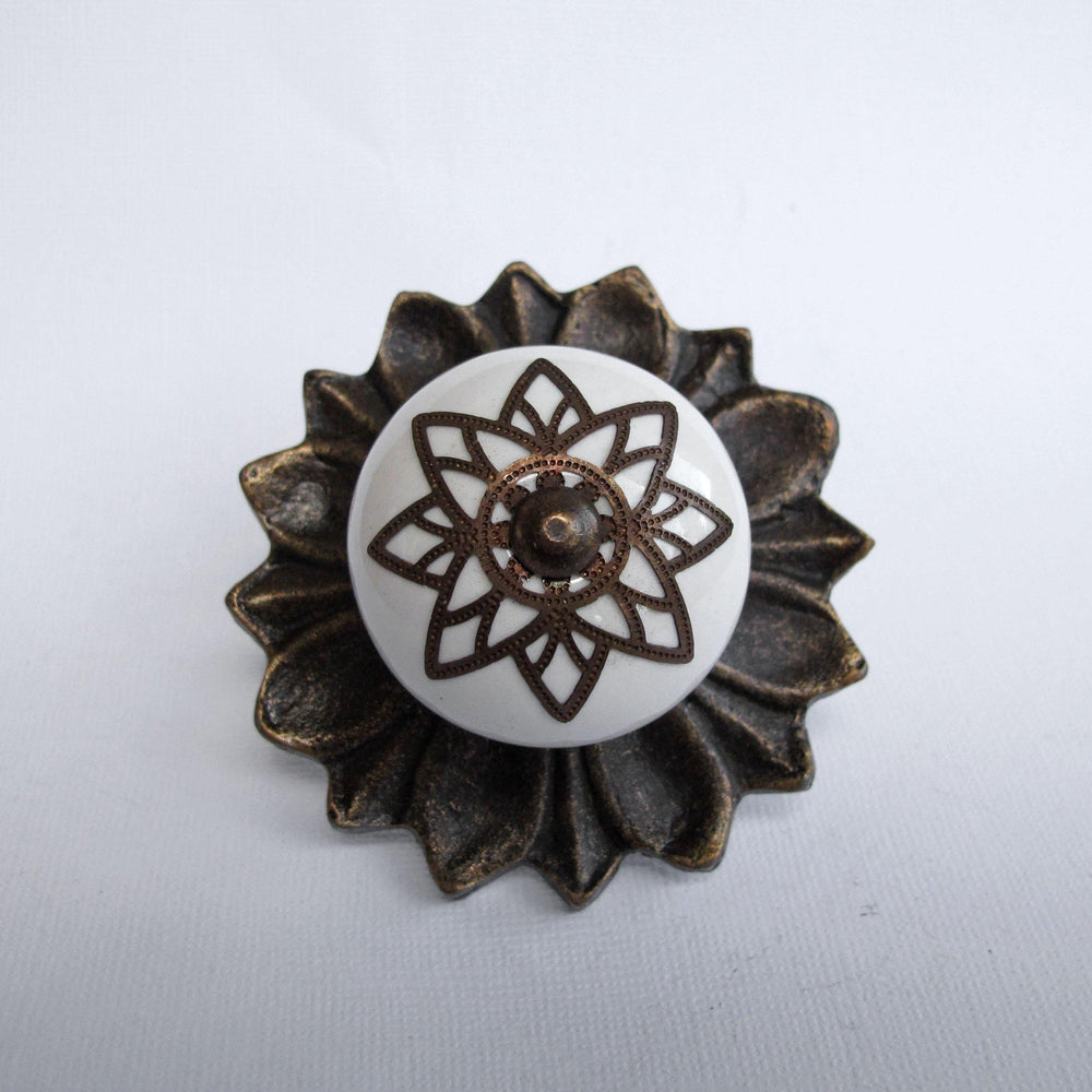 Brass Starburst Lions Den Knob