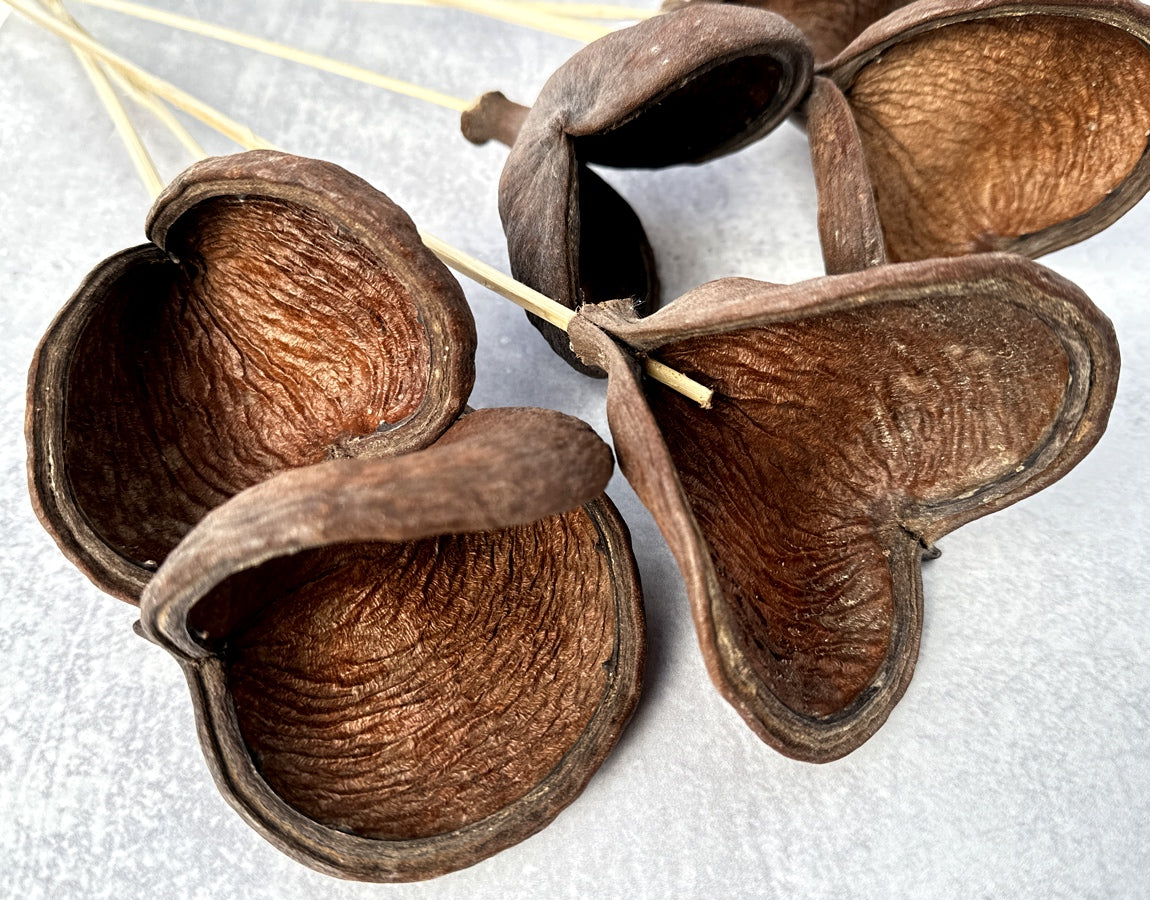 Badam Natural - 6 Stems