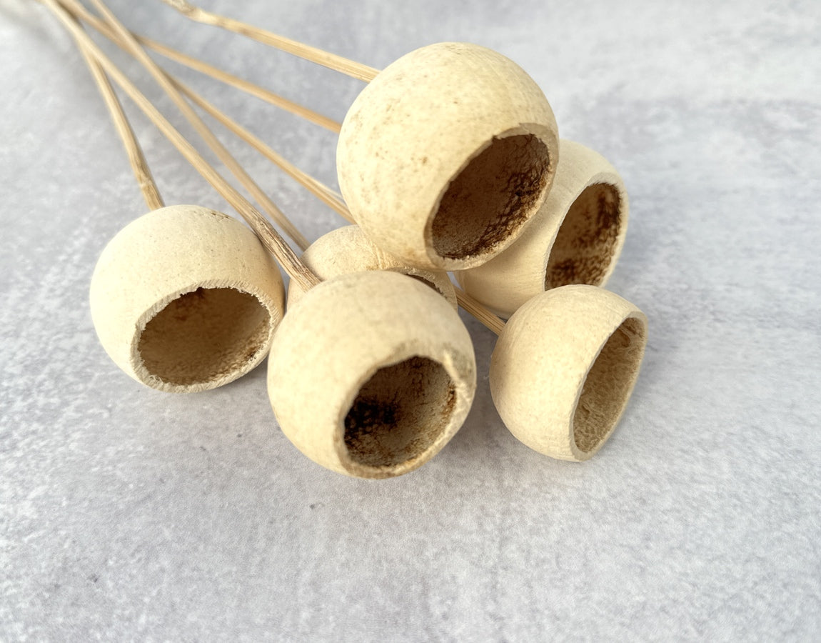 Bell Cup Mini - 6 Stems