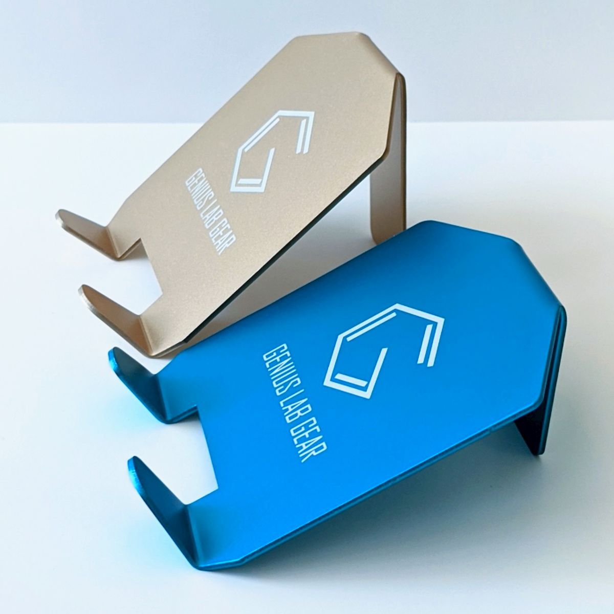 Angled Petri Dish and Cell Culture Plate Holder (2-pack)