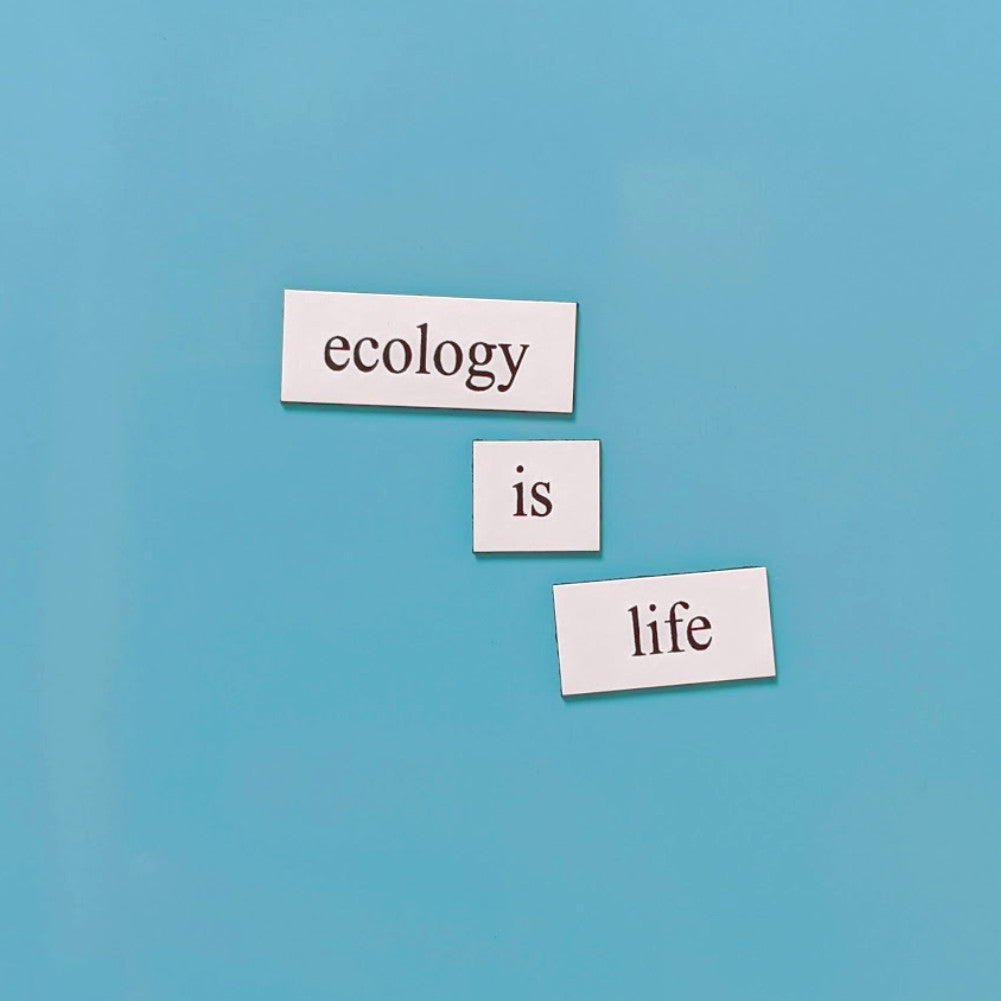 Ecology Word Magnets