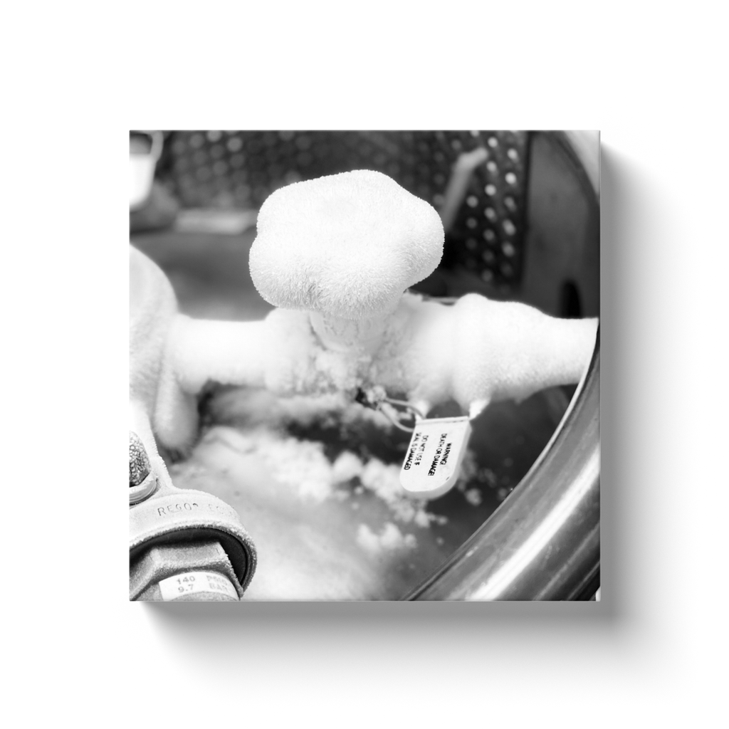 Laboratory Photography Canvas Wrap 4 by Meagan Ankney